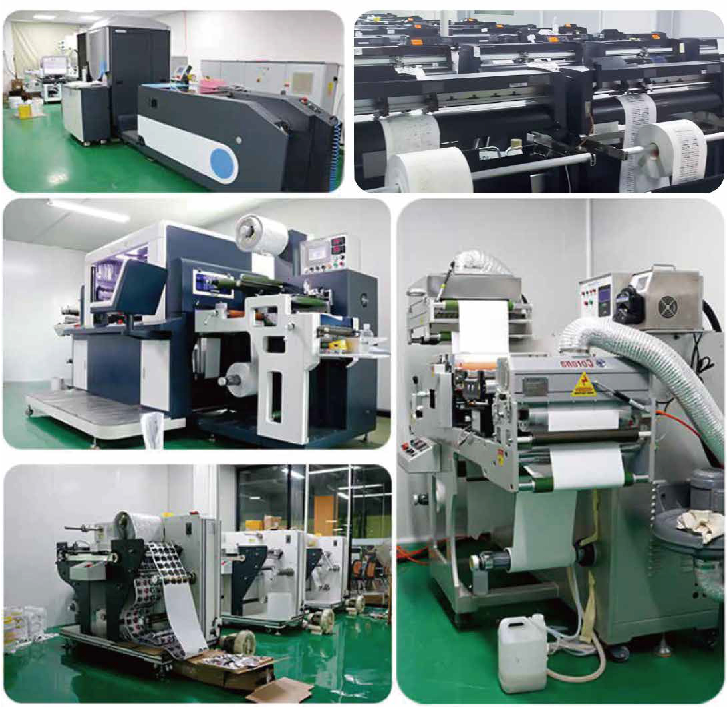 Inside Our Packaging Production Line