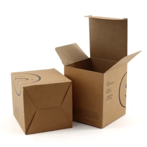 Kraft Paper Packaging Boxes